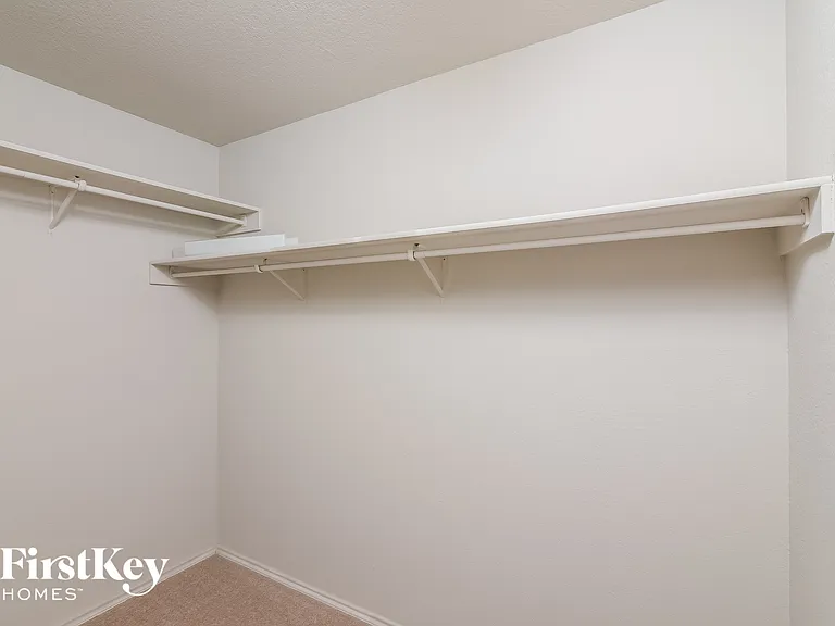 7504 Forest Fern — Photo 10