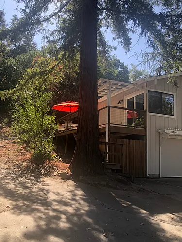 3301 Aspara Dr Photo 1