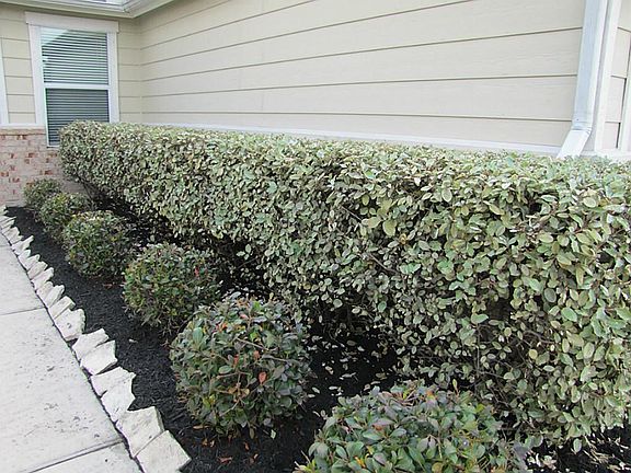 Freshly landscaped entrance