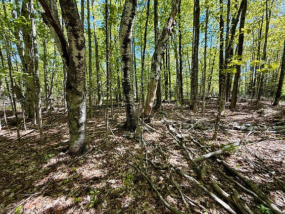 4th image of Lot34I Scammon Road