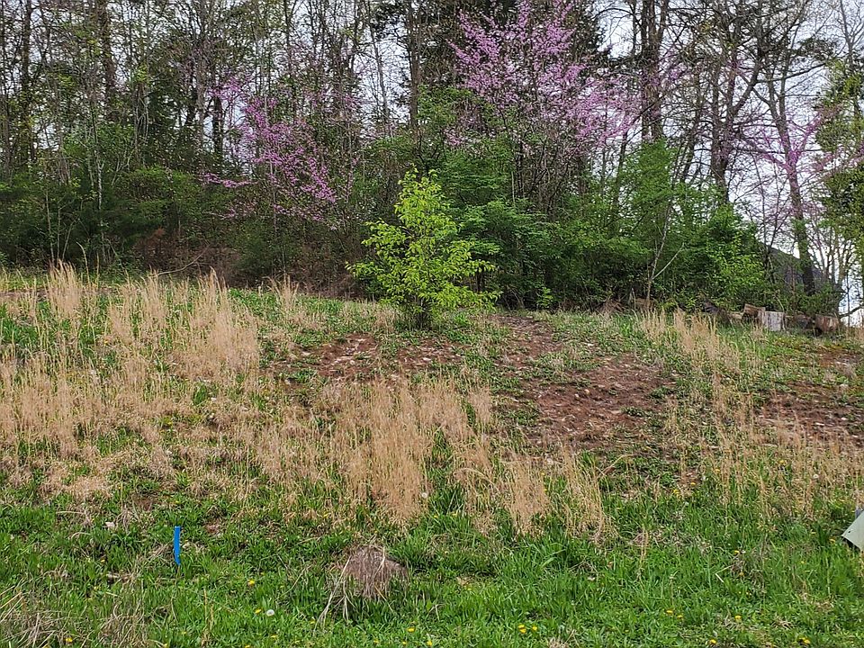 2nd image of 6900 Hannahs Park Ln Lot 10