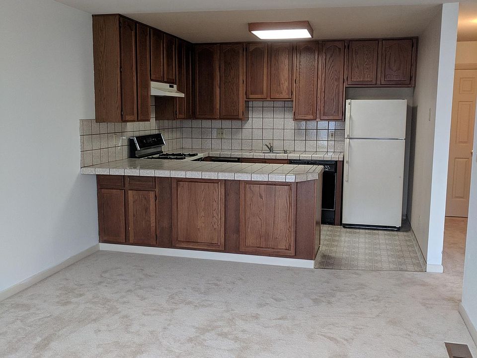 Living room + kitchen
