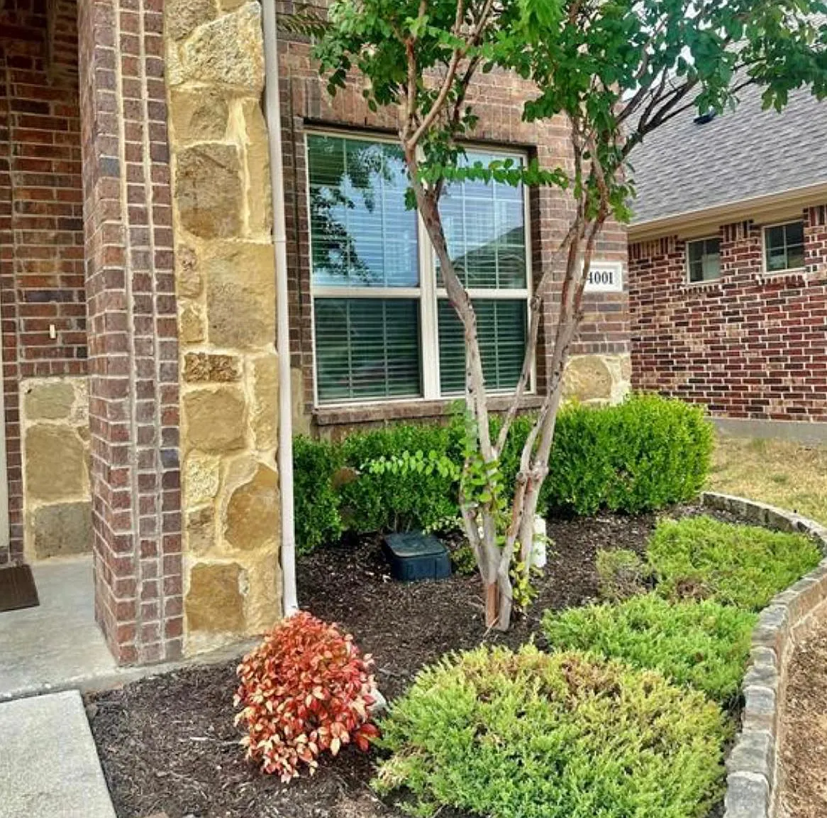 4001 Muscadine Dr — Photo 2