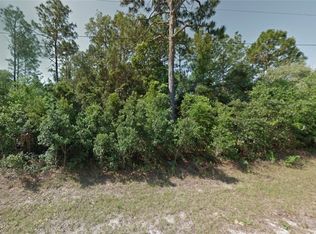 3248 W Talinum Pl, Citrus Springs, FL 34433