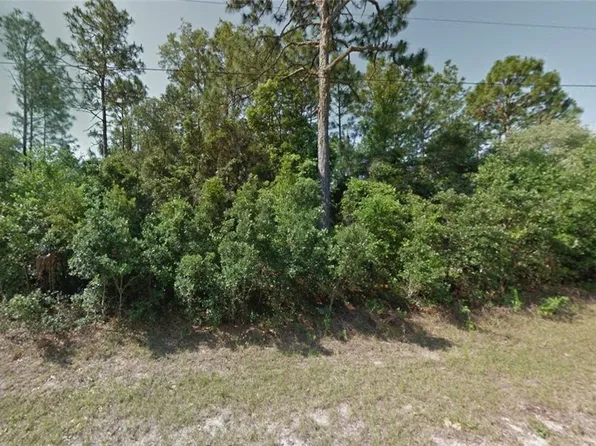 3248 W Talinum Pl, Citrus Springs, FL 34433