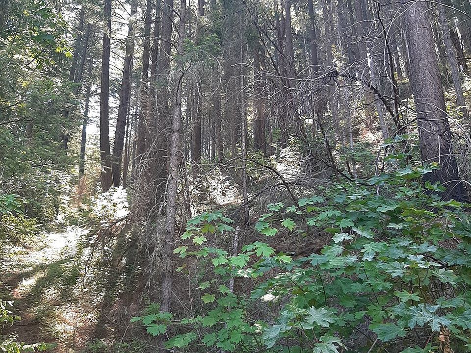 2nd image of 0 Canyonville Riddle Rd