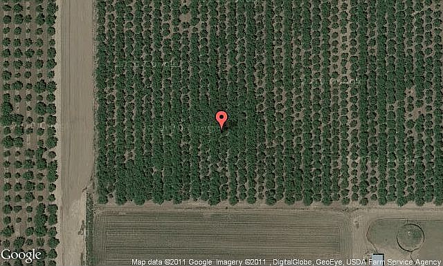 Map View