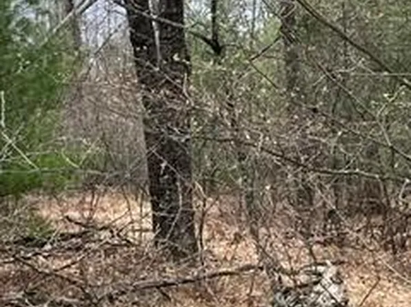 000-302 Otter Trail Rd, Alger, MI 48610