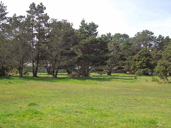 5th image of 23670 N Highway 1
