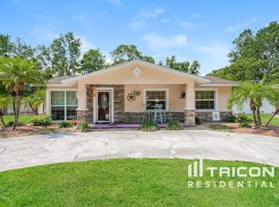 4827 Billy Direct Ln, Lutz, FL 33559