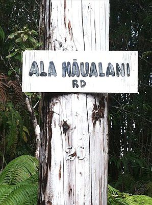 2nd image of Ala Naualani Lot 63