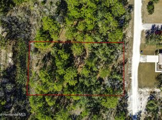 9155 Bunting Rd, Brooksville, FL 34613