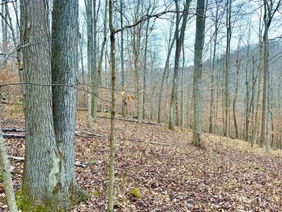 0 Golley Rd, Otway, OH, 45657