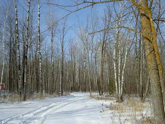 4th image of XXX County Rd 15