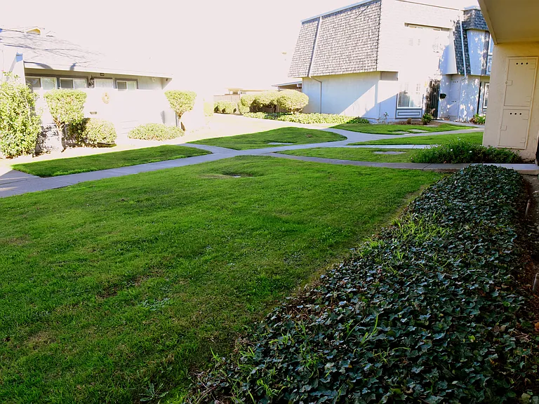 34655 Bahama Cmn — Photo 31