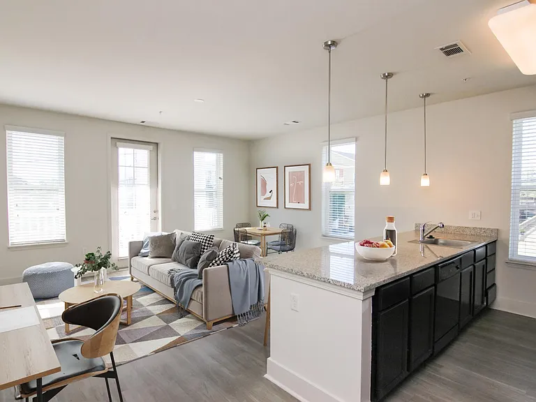 South Junction Apartments — Photo 6
