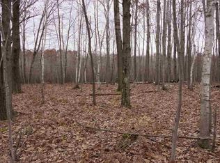 10539 W Broomfield Rd, Blanchard, MI 49310