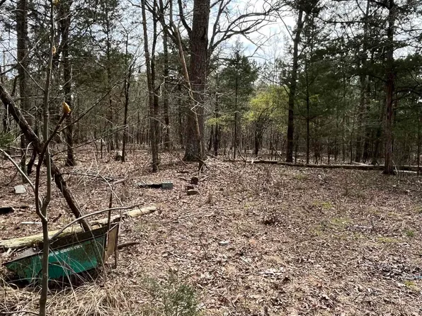 112 Blaze Ln, Grannis, AR 71944