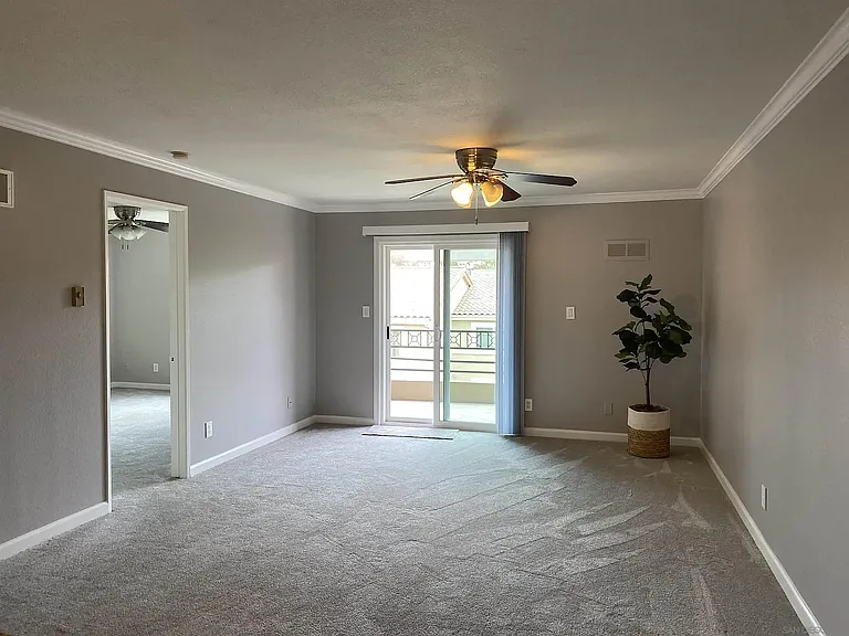 7405 Charmant Dr #2324 — Photo 11