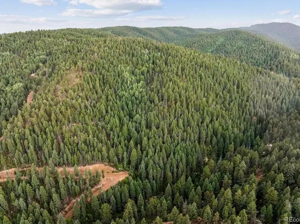 Forest Lane, Larkspur, CO 80118