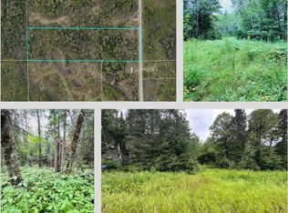 51801 Townhall Rd, Squaw Lake, MN 56681