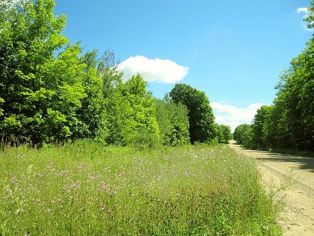 1st image of Whispering Pines Drive 140 Acres