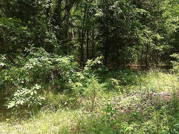 2nd image of Vz County Road 3222