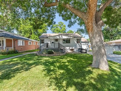 316 9th St, Windsor, CO, 80550