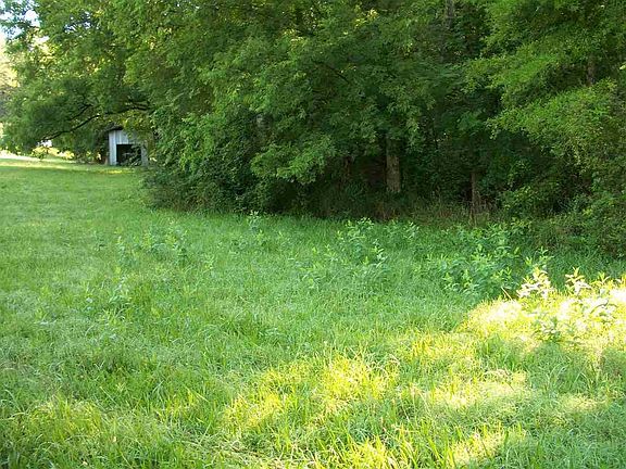 5th image of 0 Rose Robinson Ln