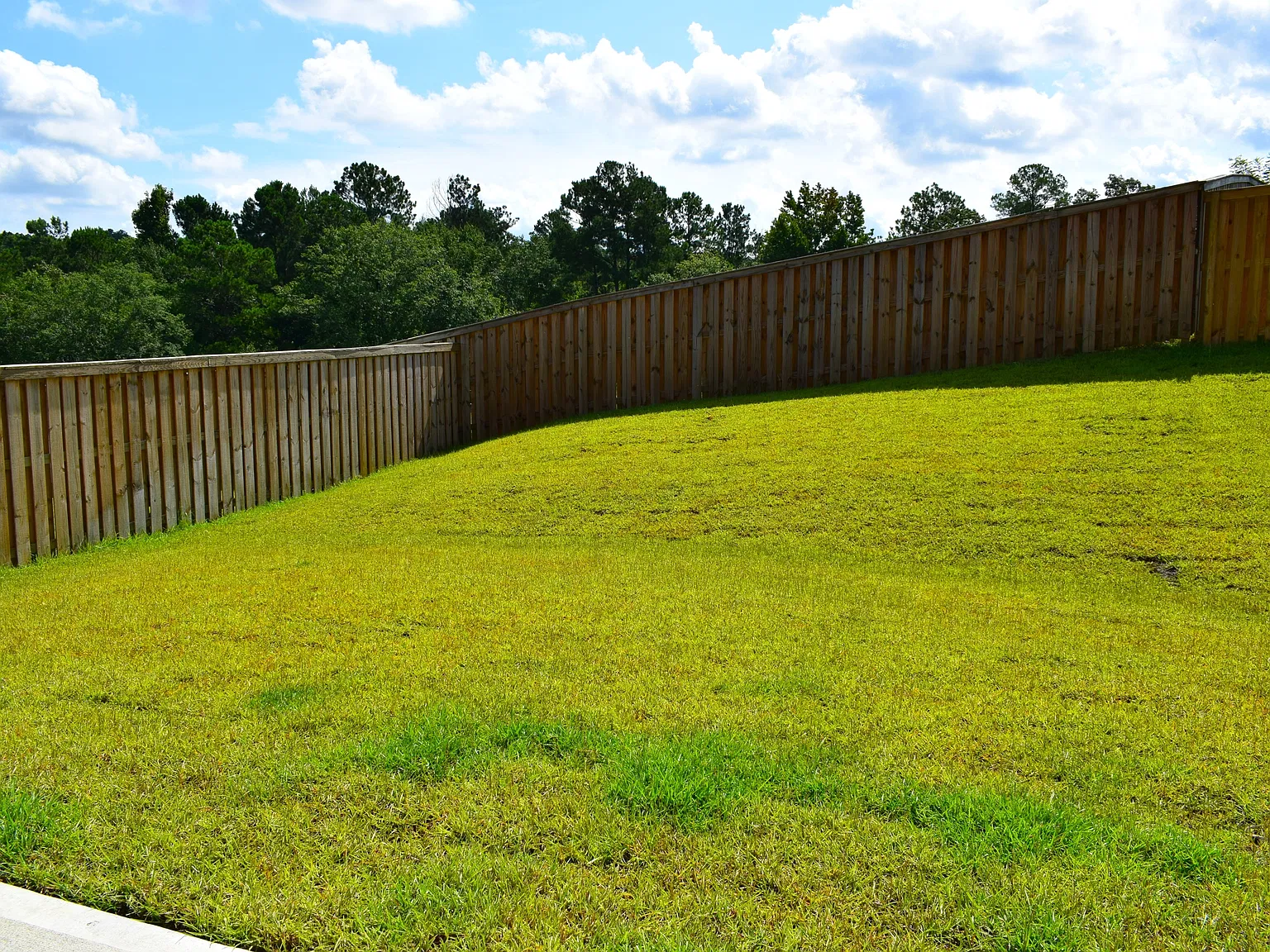 5081 Tullamore Drive - 1 — Photo 3