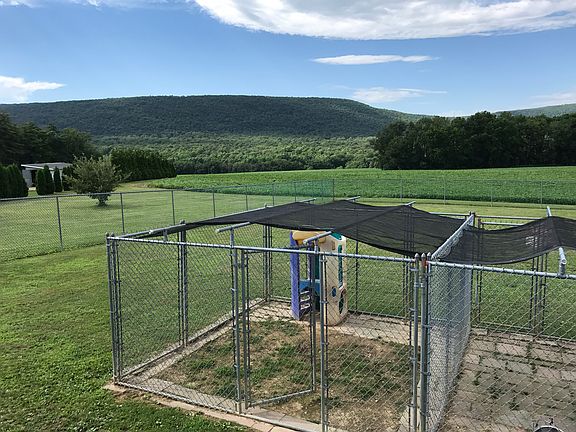 Wake up to this view