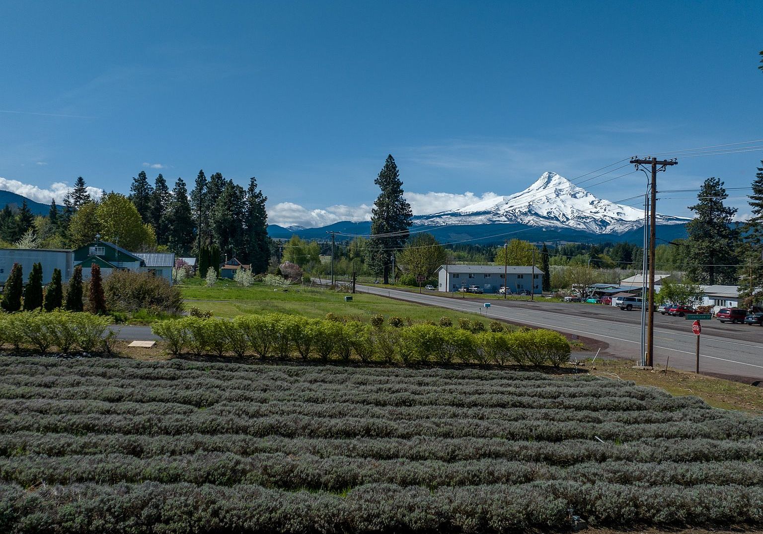 4040 Cunningham Dr 1, Mount Hood Parkdale, OR 97041 MLS 23583297