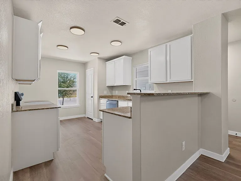 15018 Silver Tree Cv — Photo 11