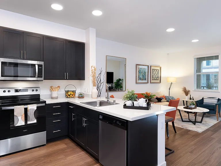 Palmia, Age 55+ Luxury Apartments — Photo 3