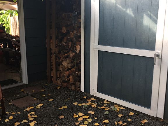 Autumn fire wood covered 