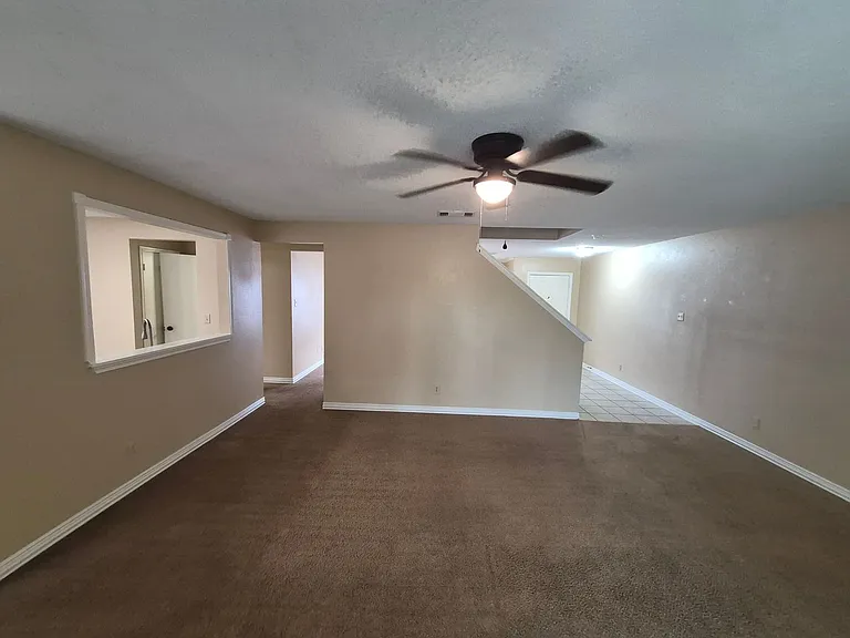 8007 Chestnut Bluff Dr — Photo 10