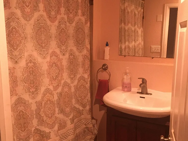 Shower and tub in downstairs bathroom