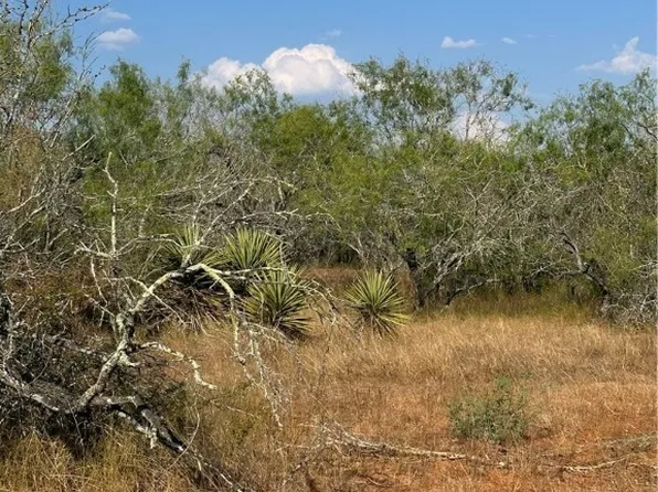 5986 Fm 1107 Unit B, Stockdale, TX 78160