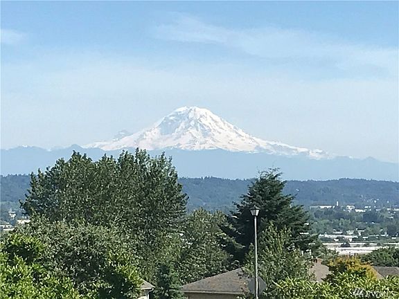 The View from the house.