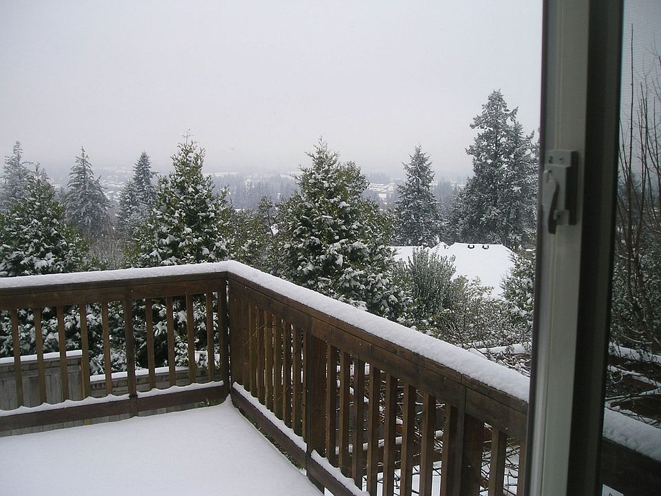 VIEW IN WINTER BKYARD