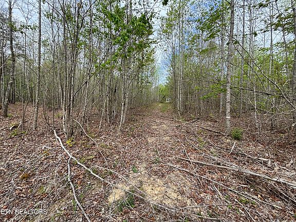 5th image of 182 Nydeck Rd