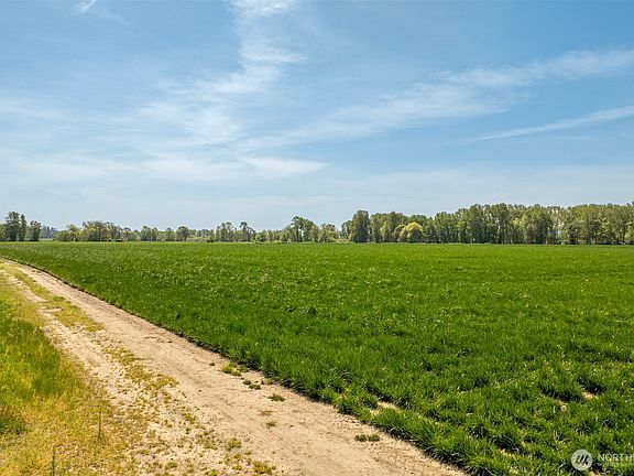 5th image of 0 Whalen