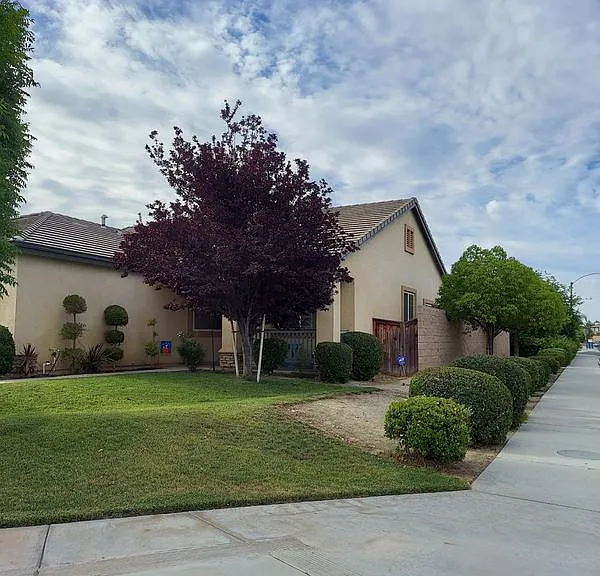 2274 Purple Finch Ct — Photo 33