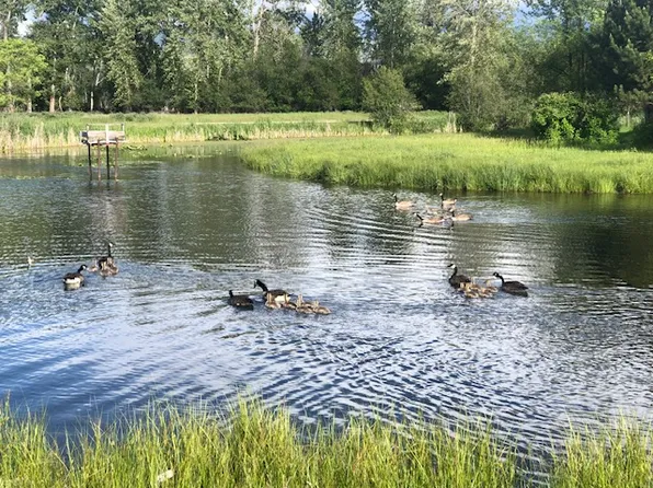 2739 Alpenglow Rd, Stevensville, MT 59870