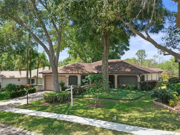 3592 Oak Lake Dr, Palm Harbor, FL 34684