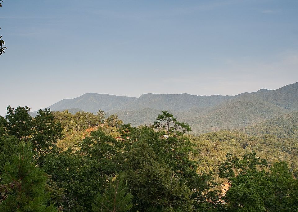 View from the graded site.