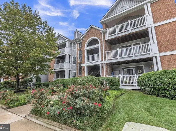 7503 Ashby Ln Unit H, Alexandria, VA 22315