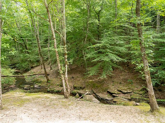 90th image of 6011 Garrison Springs Rd