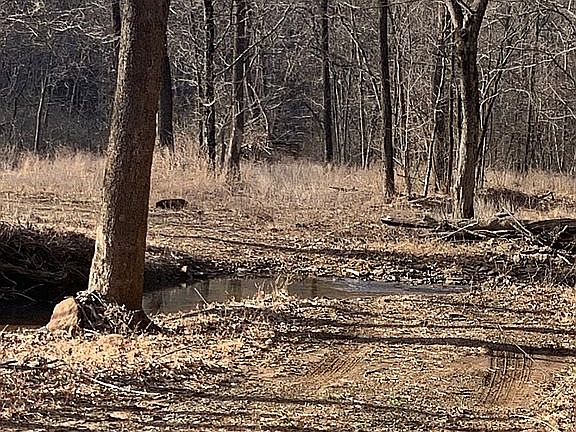 2nd image of County Road 39 #3274