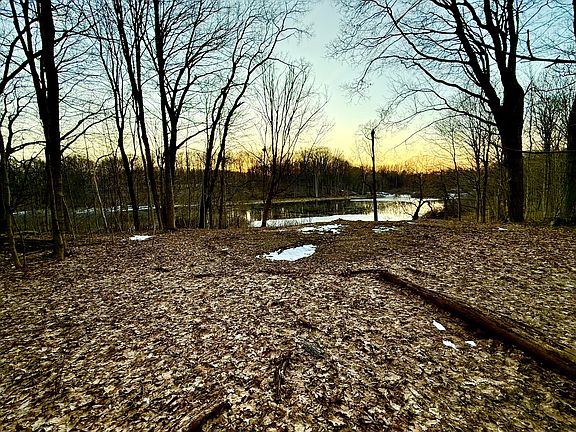 3rd image of 15326 Madron Lake Rd